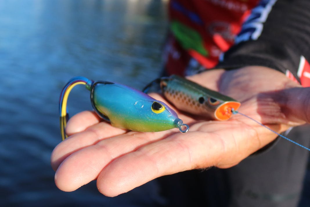 Popping vs Walking Frog with Dean Rojas Bass Utopia